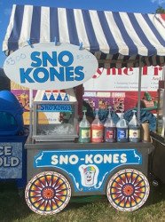 Sno-Cone Carnival Cart with Awning