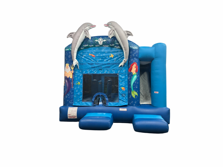 Under the Sea Slide Combo