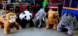 Ride on Animals 20220922 134131 1698937279 Ride on Animals