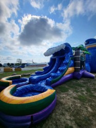 Tropical Double Pool Combo 6FF44512 4A9B 480F A6E7 4989074D1D83 1753984939 Tropical Double Pool Combo