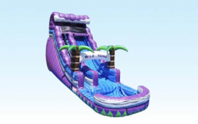 18ft TROPICAL WILDTHING WATERSLIDE 18ft TROPICAL WILDTHING WATERSLIDE