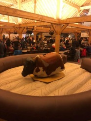 Mechanical Bull BA797D2C 75CF 4D3F 9EBC 333BDBBF4D4F 1677200452 Mechanical Bull