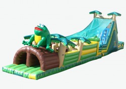 Tropical Frog Obstacle