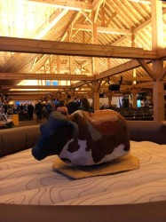 Mechanical Bull FDC673C7 F611 4DCB AFEB D2065BC2F4A0 1677200452 Mechanical Bull