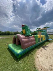 IMG 5526 1686768607 Tropical Frog Obstacle