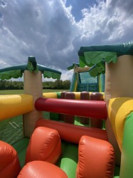 IMG 5528 1686768609 Tropical Frog Obstacle