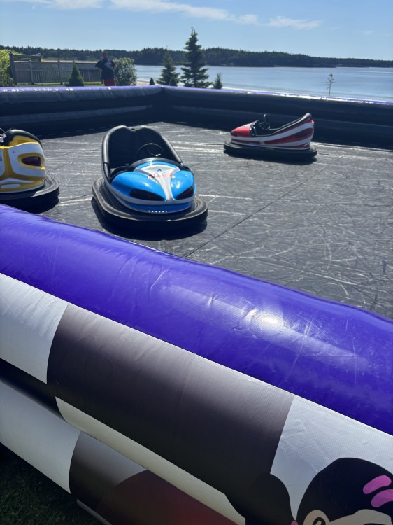 Bumper Cars Bumper Cars
