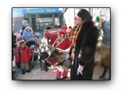 Live Reindeer Reindeer Four 1691593965 Live Reindeer