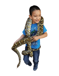 Mini Petting Zoo Party Package baby jesse 1744738108 Mini Petting Zoo Party Package