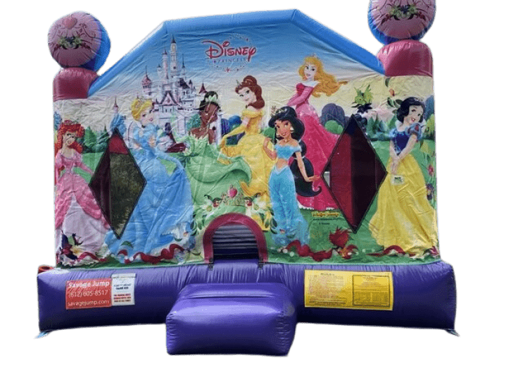 Disney Princess Combo Disney Princess Combo