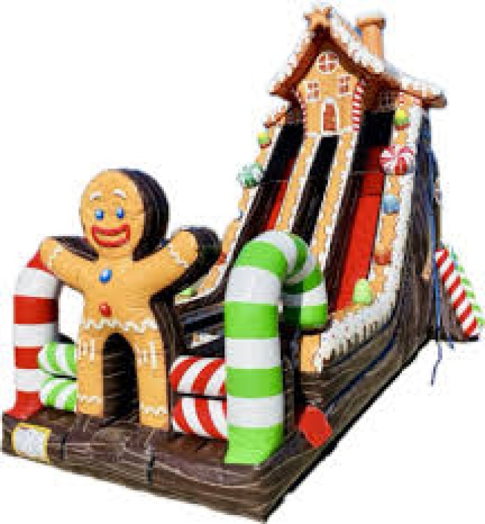 22 Foot Ginger Bread Double Slide 22 Foot Ginger Bread Double Slide
