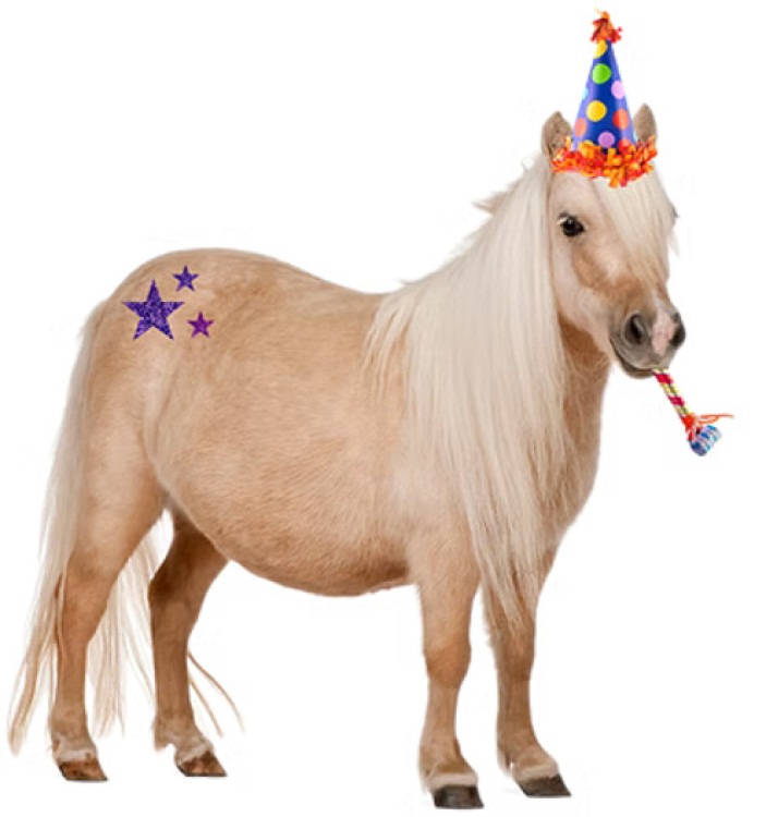 Mini Pony Rides Mini Pony Rides